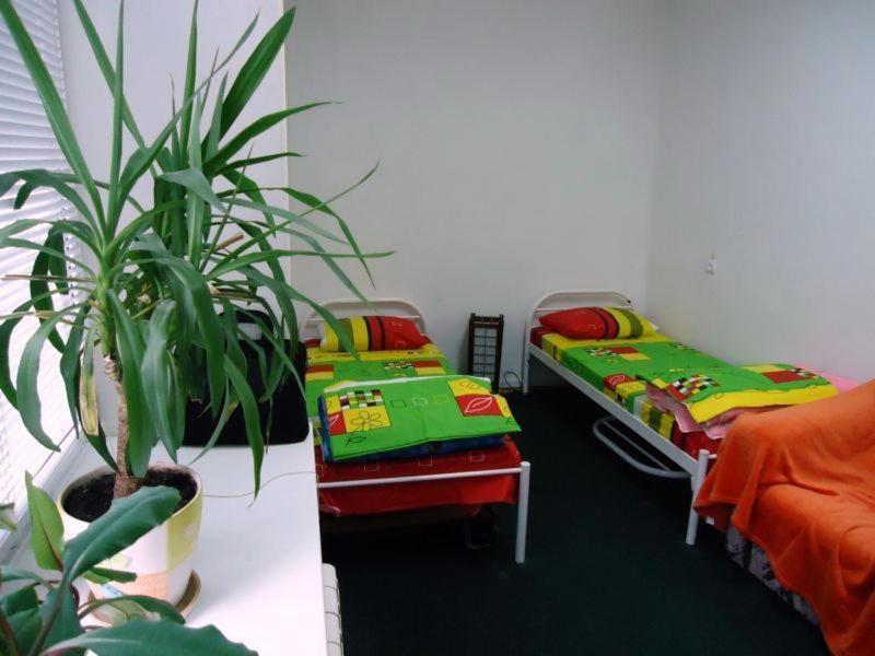 Hostel Kreshatik 基輔 客房 照片